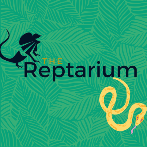 Reptarium logo with snake against a green leaf background