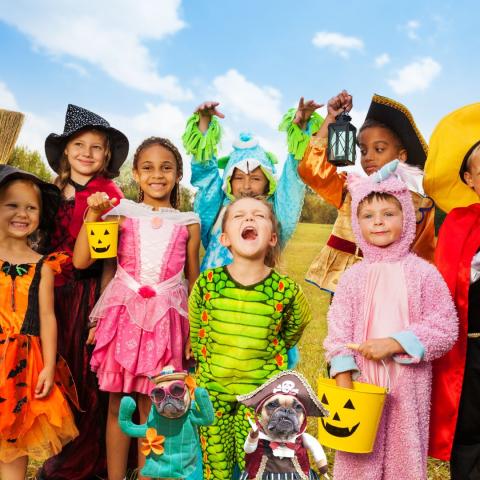 Kids in halloween costumes with thrown in pugs in a catus, and pirate costume, becuase why not?