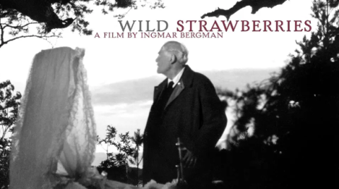 older man in a forest looking off towards the sky