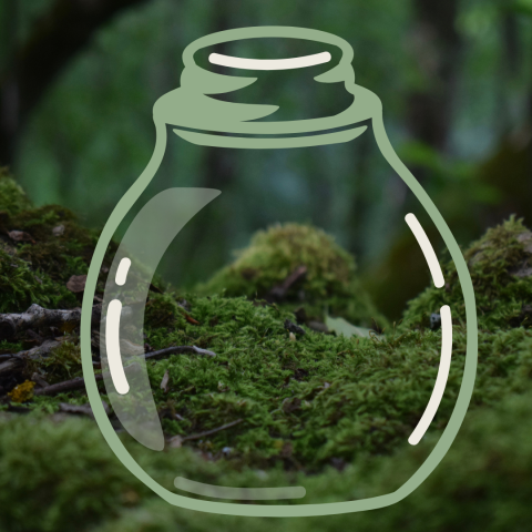 Spooky moss covered forest background with an illustrated jar in the foreground.