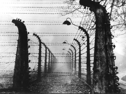 barbed wire fence at Auschwitz 