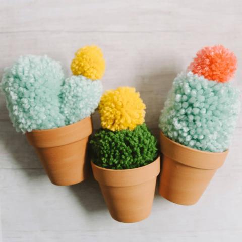 Three cacti made out of different colored pom poms lie on a table