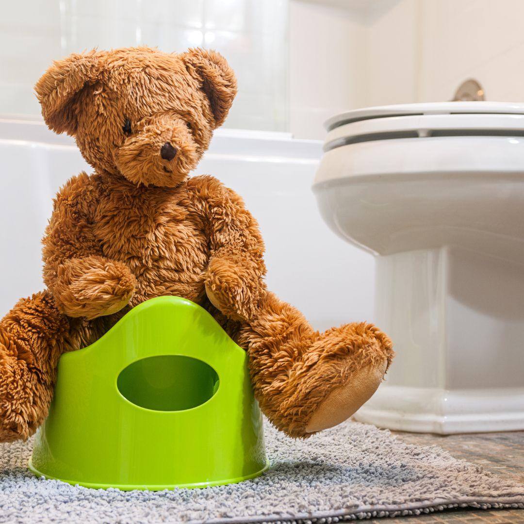 Brown teddy bear sitting on a green potty-training toilet. Full size toilet featured in background. 