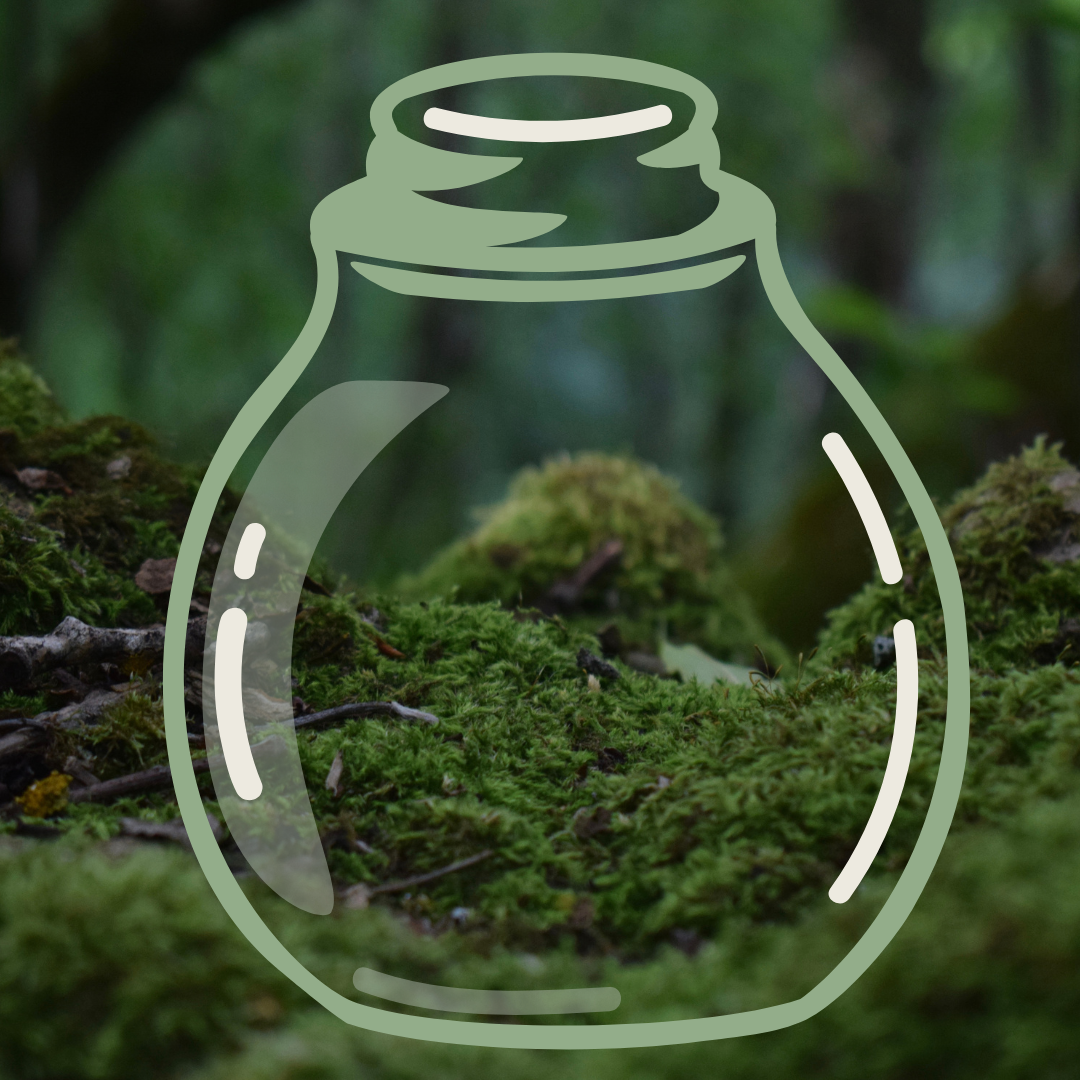 Spooky moss covered forest background with an illustrated jar in the foreground.